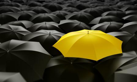 yellow umbrella yellow umbrella