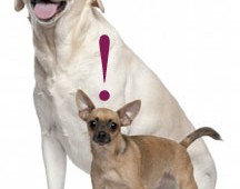 BIG or small – Brands That Stand Out, Drive Sales!
