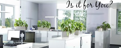 How serviced office space gives start-ups the freedom to grow