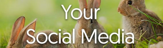 One Simple Trick To Keep Your Social Media Profiles Hopping